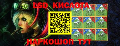 гашик Новозыбков