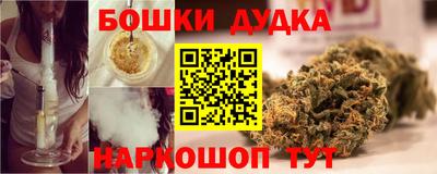 a pvp Новодвинск