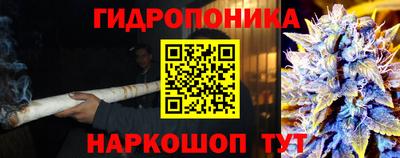 гашик Новозыбков