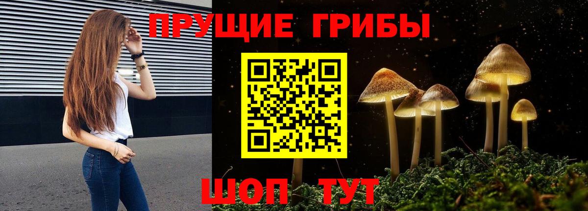 Тольятти  Псилоцибиновые грибы мицелий  Вход с VPN  Галлюциногенные грибы мухоморы 