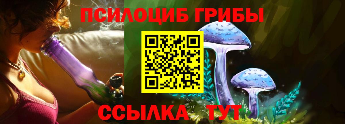 Галлюциногенные грибы Psilocybine cubensis Тольятти